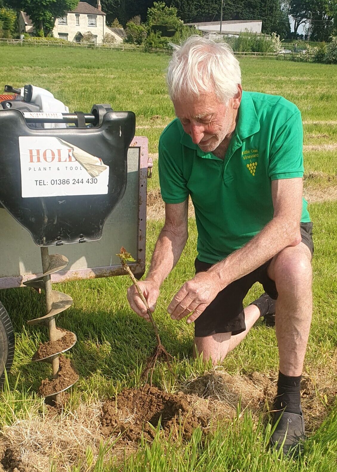 steve planting