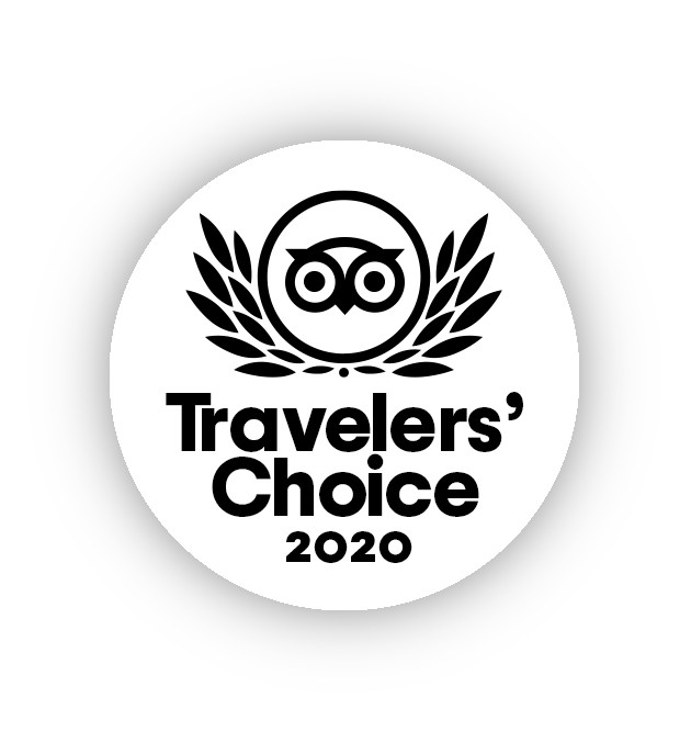 travelers-choice-2020-award